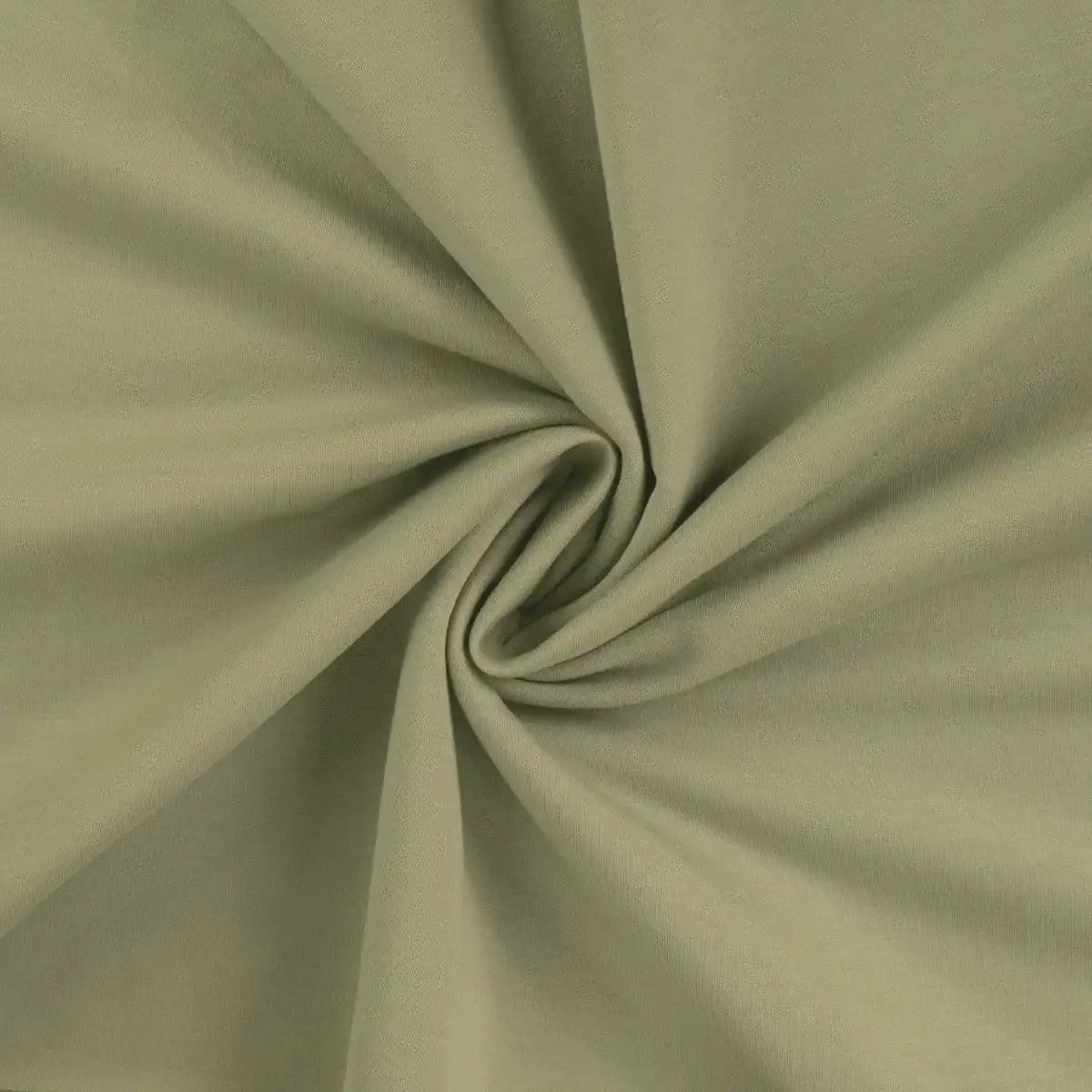 French Terry Wintersweat Pastel Hellgrün 271