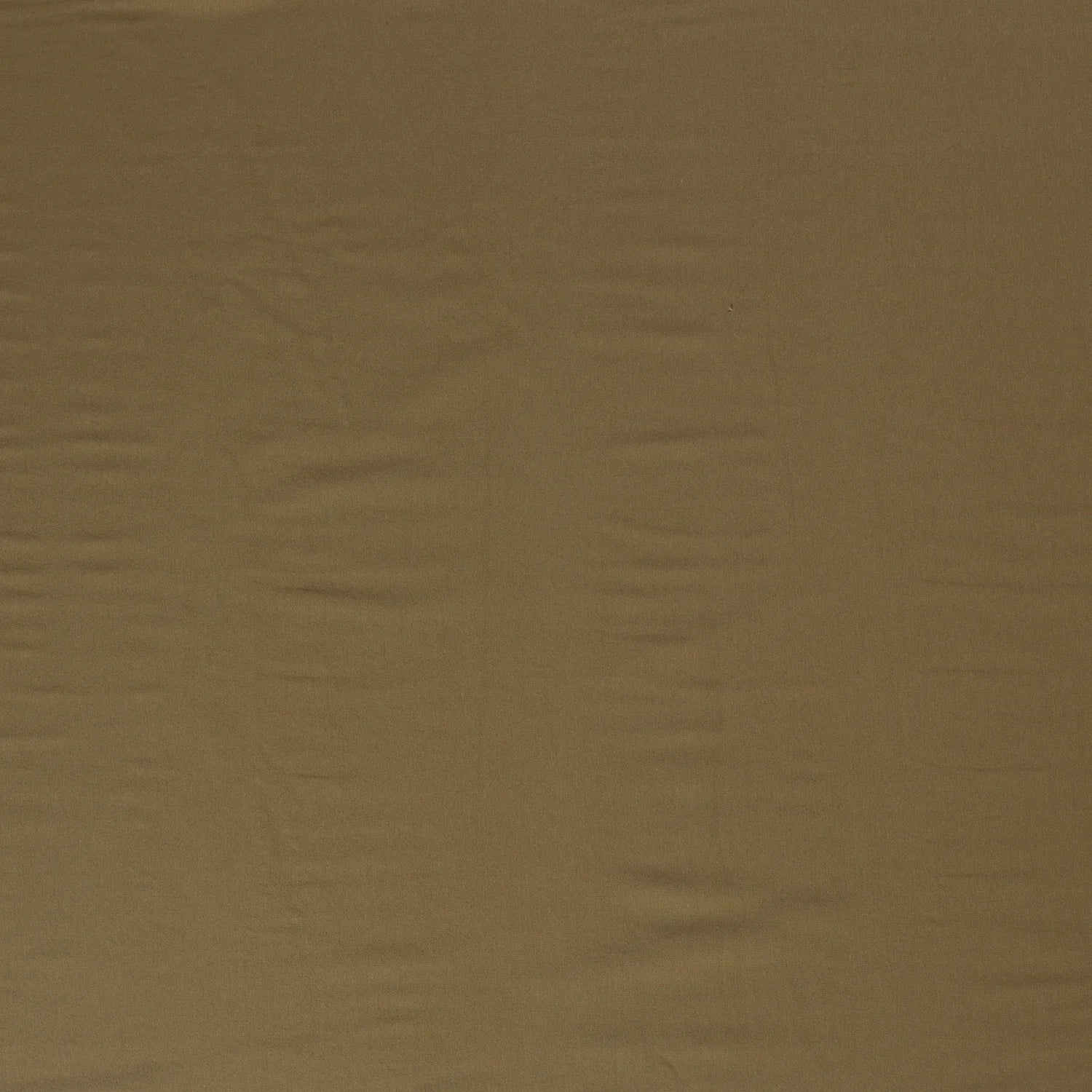 Jersey-Kamel-053