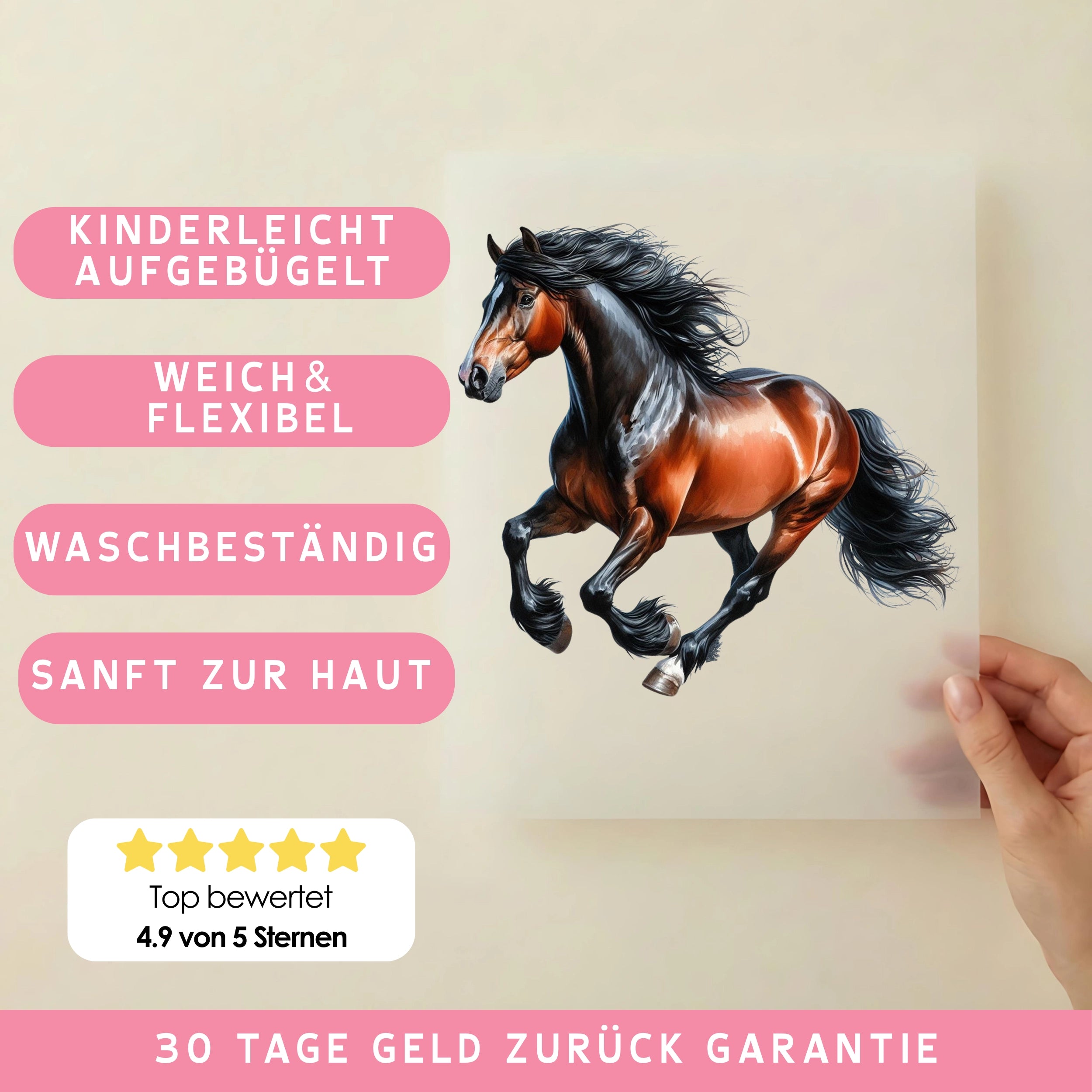 Bügelbild Pferd Beauty Holsteiner