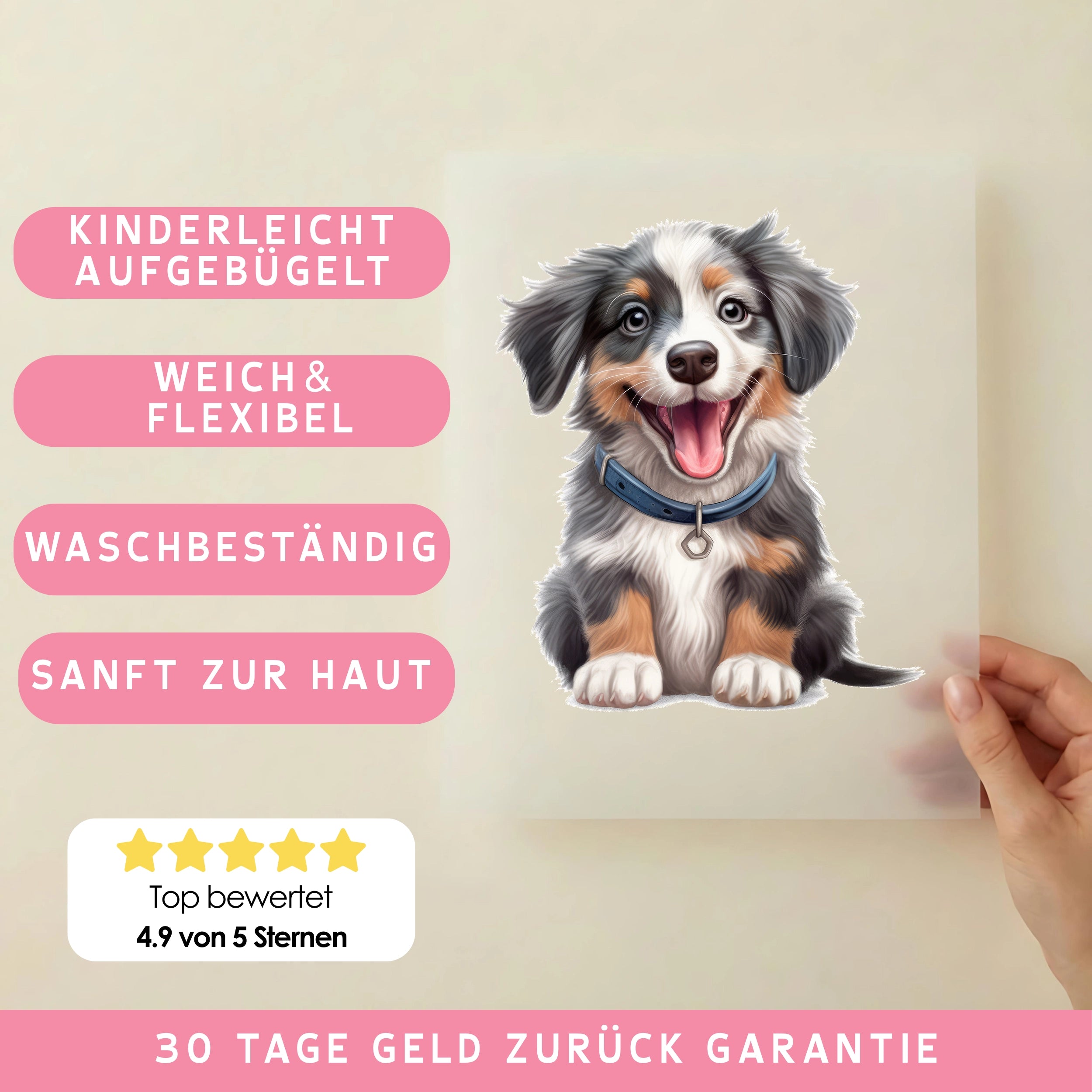 Bügelbild Hund Australian Shepherd