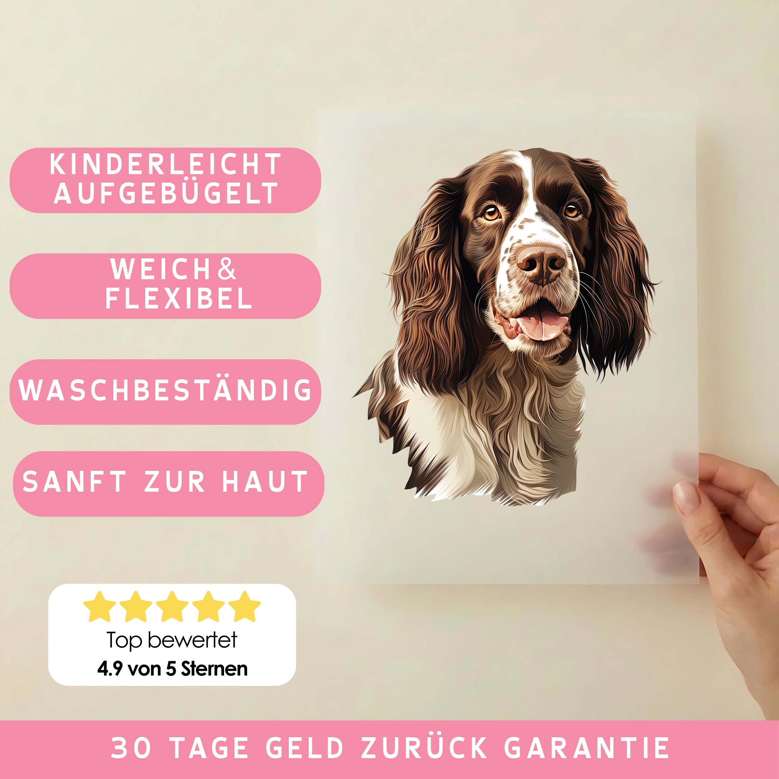 Bügelbild Hund English Springer Spaniel Braun
