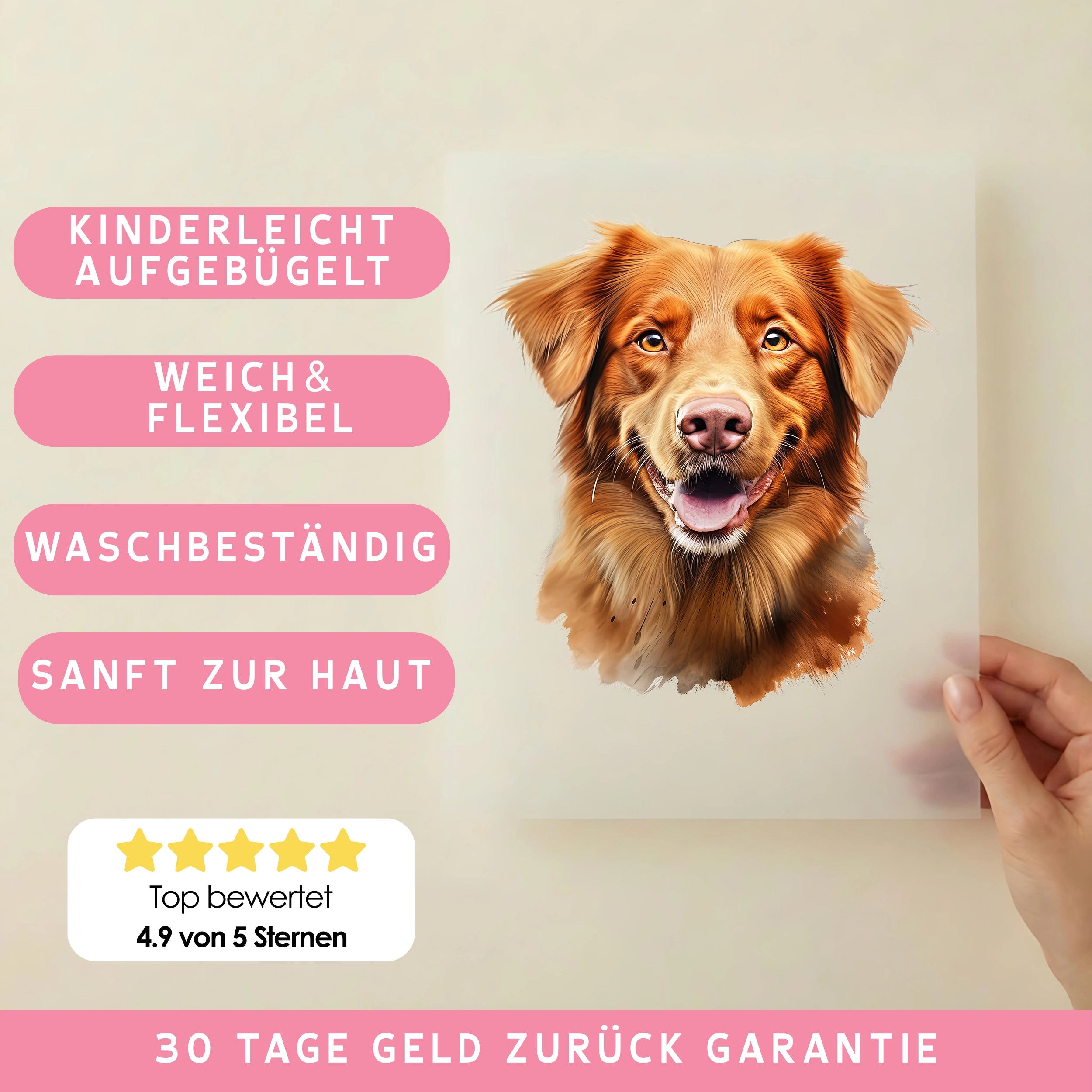 Bügelbild Hund Nova Scotia Duck Tolling Retriever