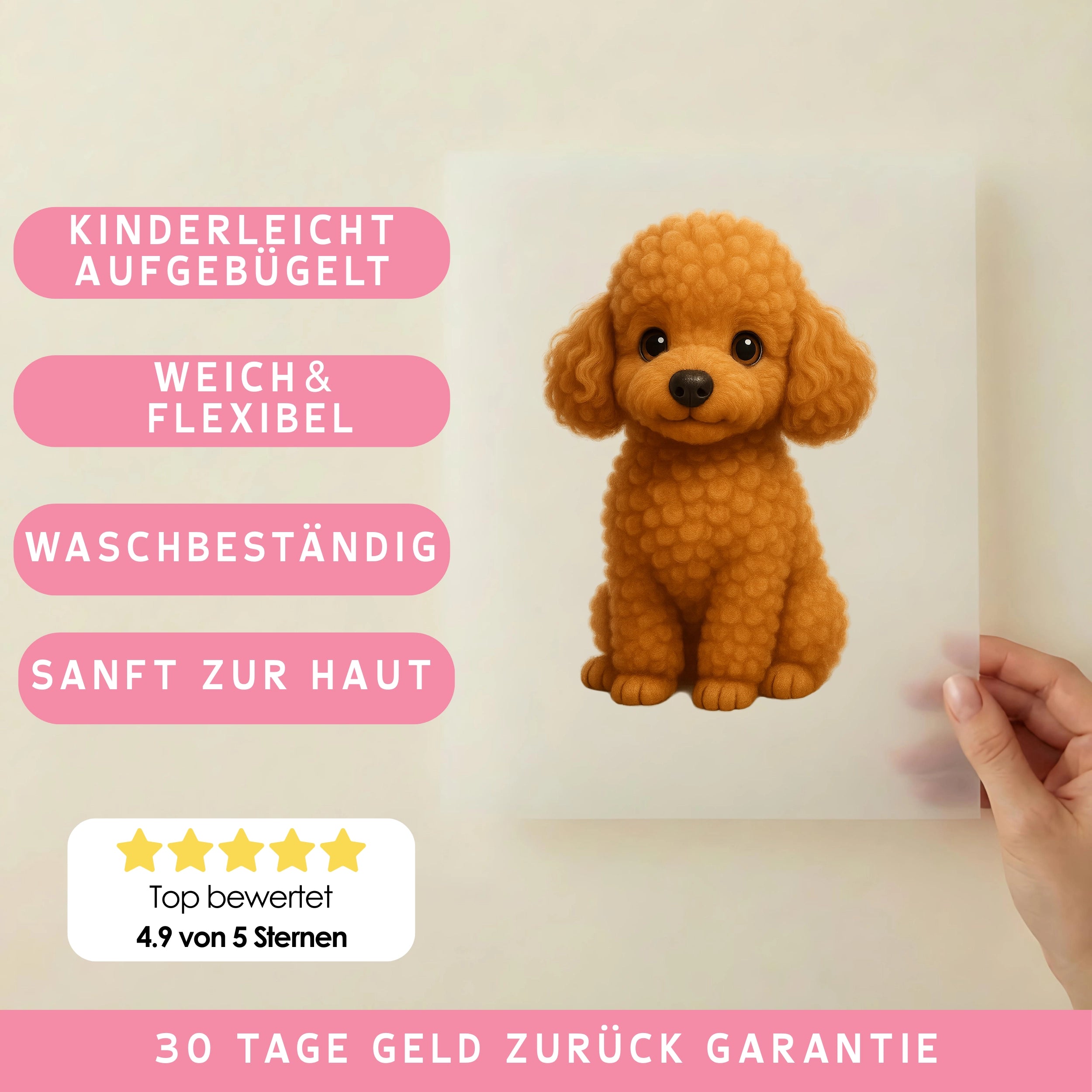 Bügelbild Hund Apricot Pudel