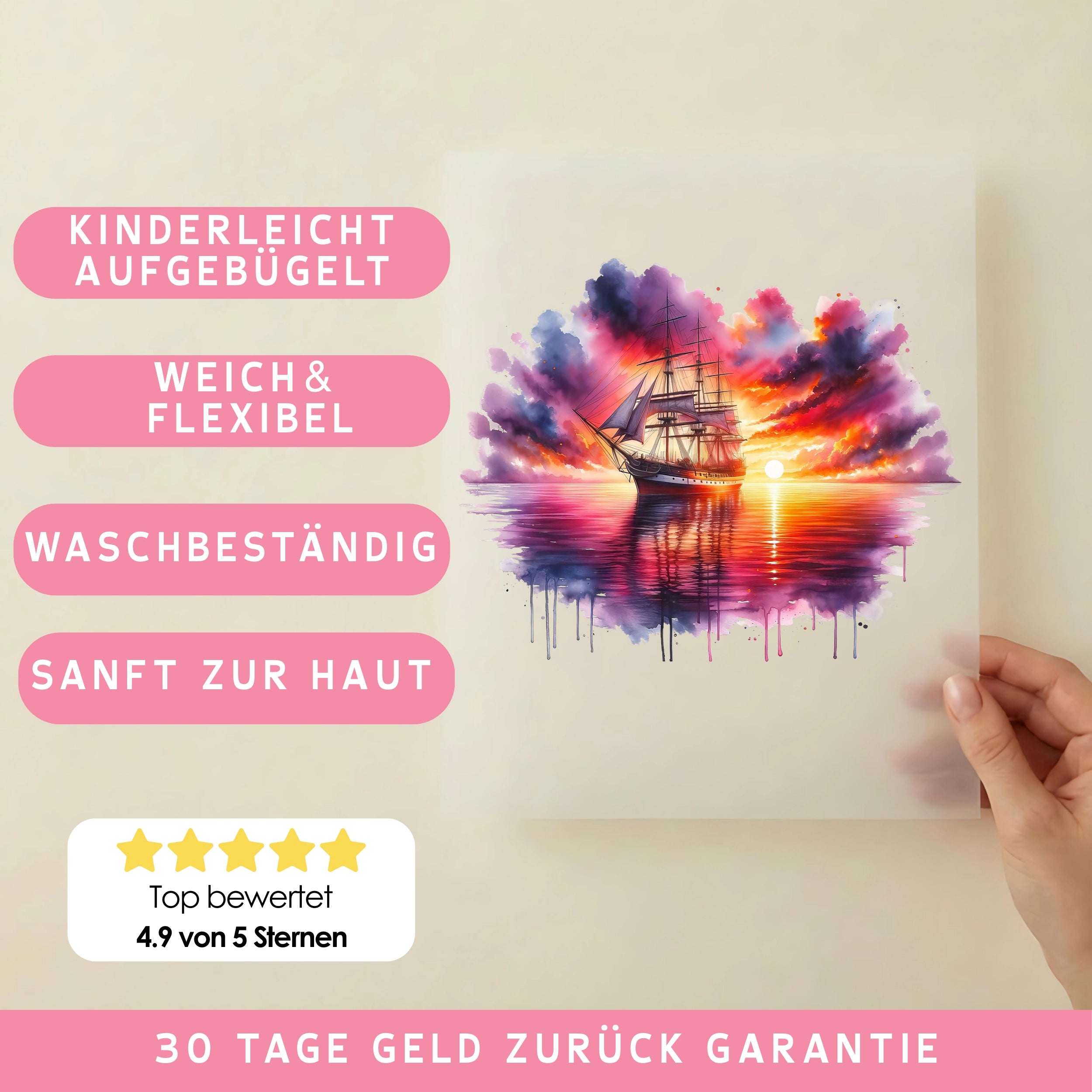 Bügelbild Abendsegler