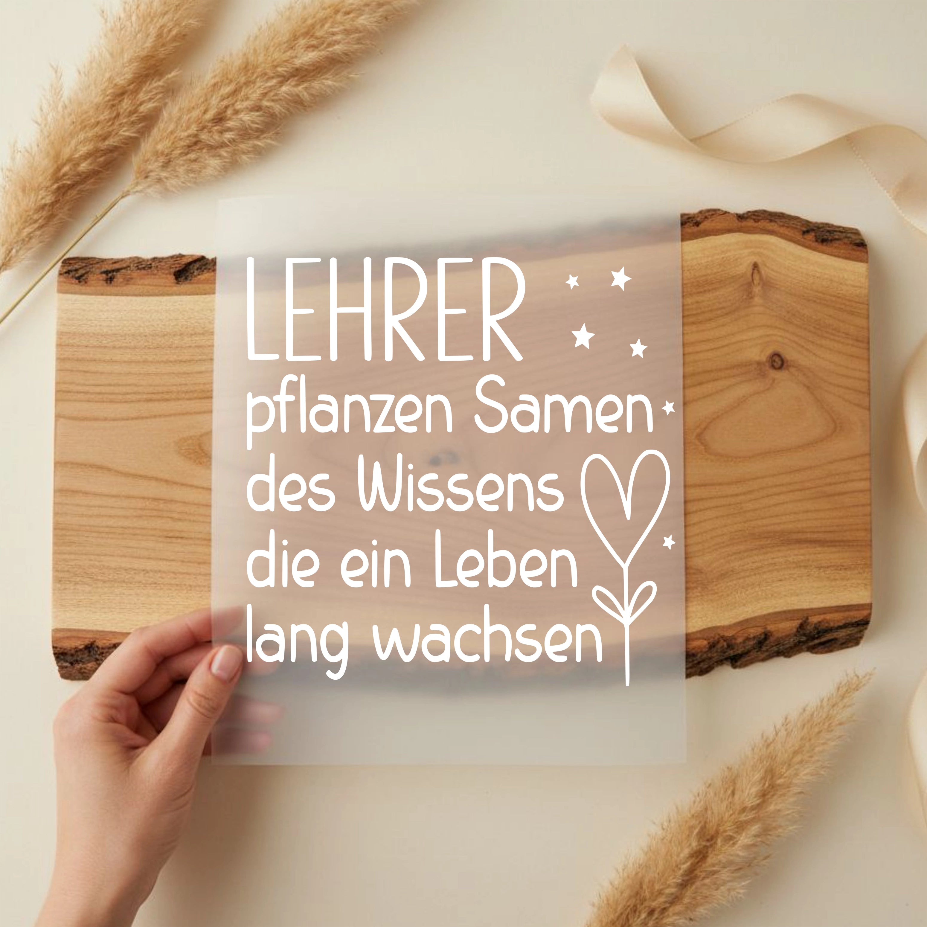 Bügelbild Lehrer pflanzen Samen