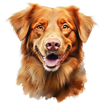 Buegelbild-hund-nova-scotia-duck-tolling-retriever