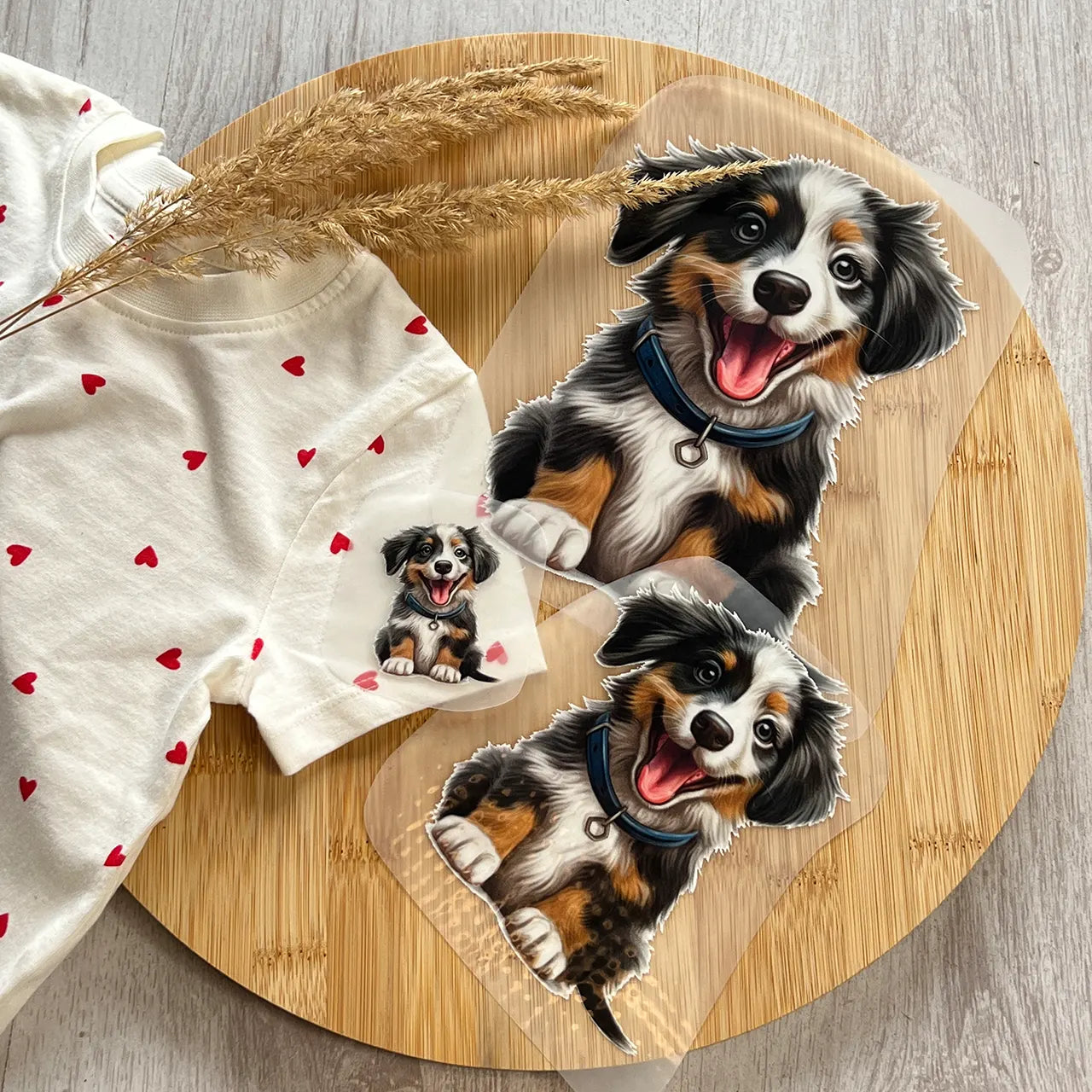 Buegelbild Hund Australian Shepherd - 3