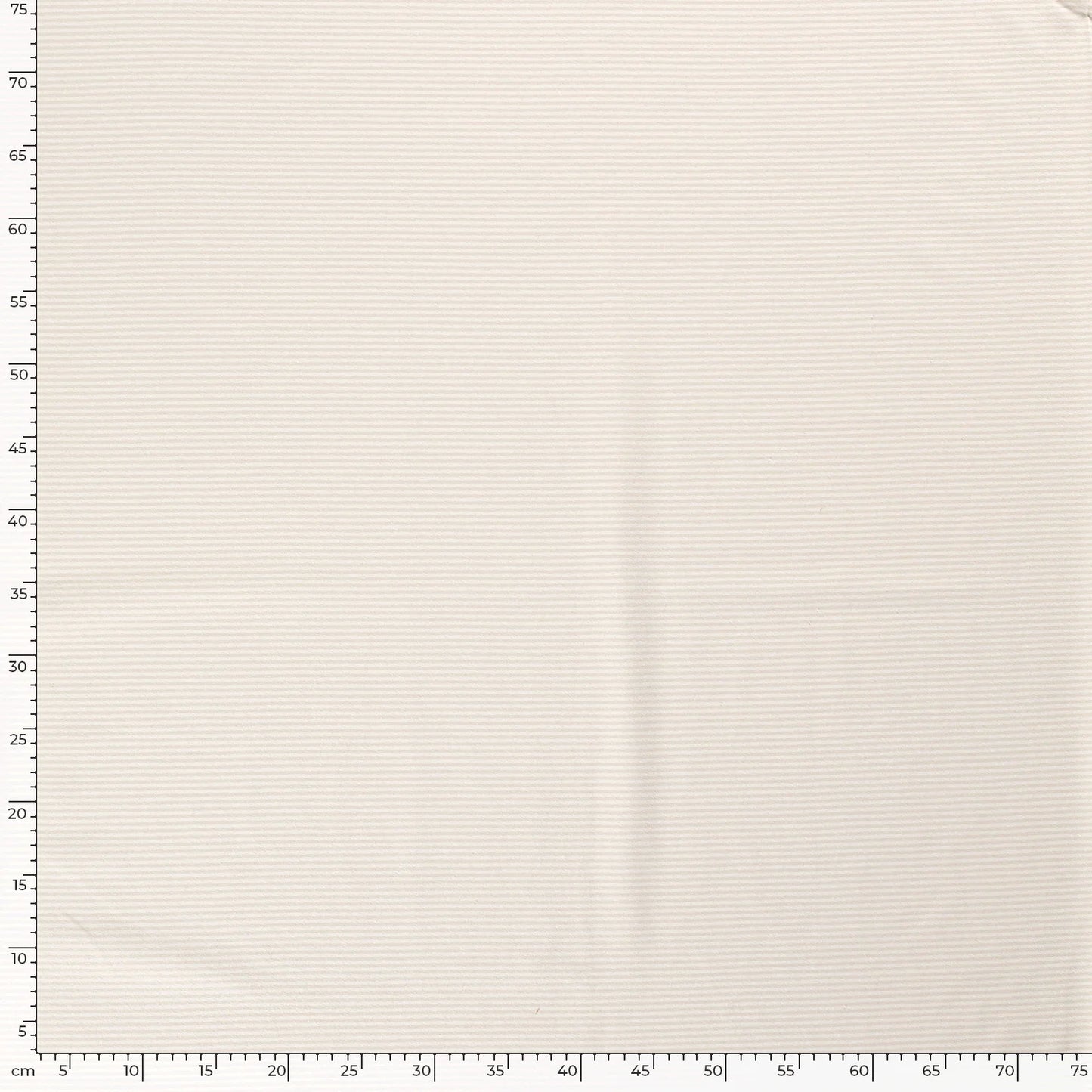 Jersey Stoff Streifen Ivory 151