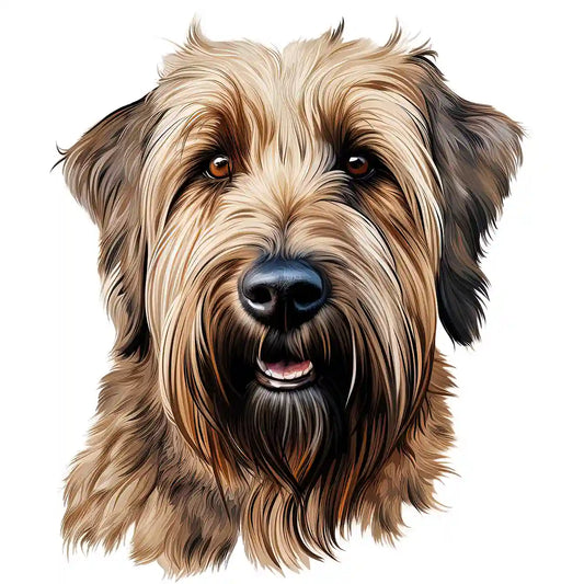 Bügelbild Hund Briard