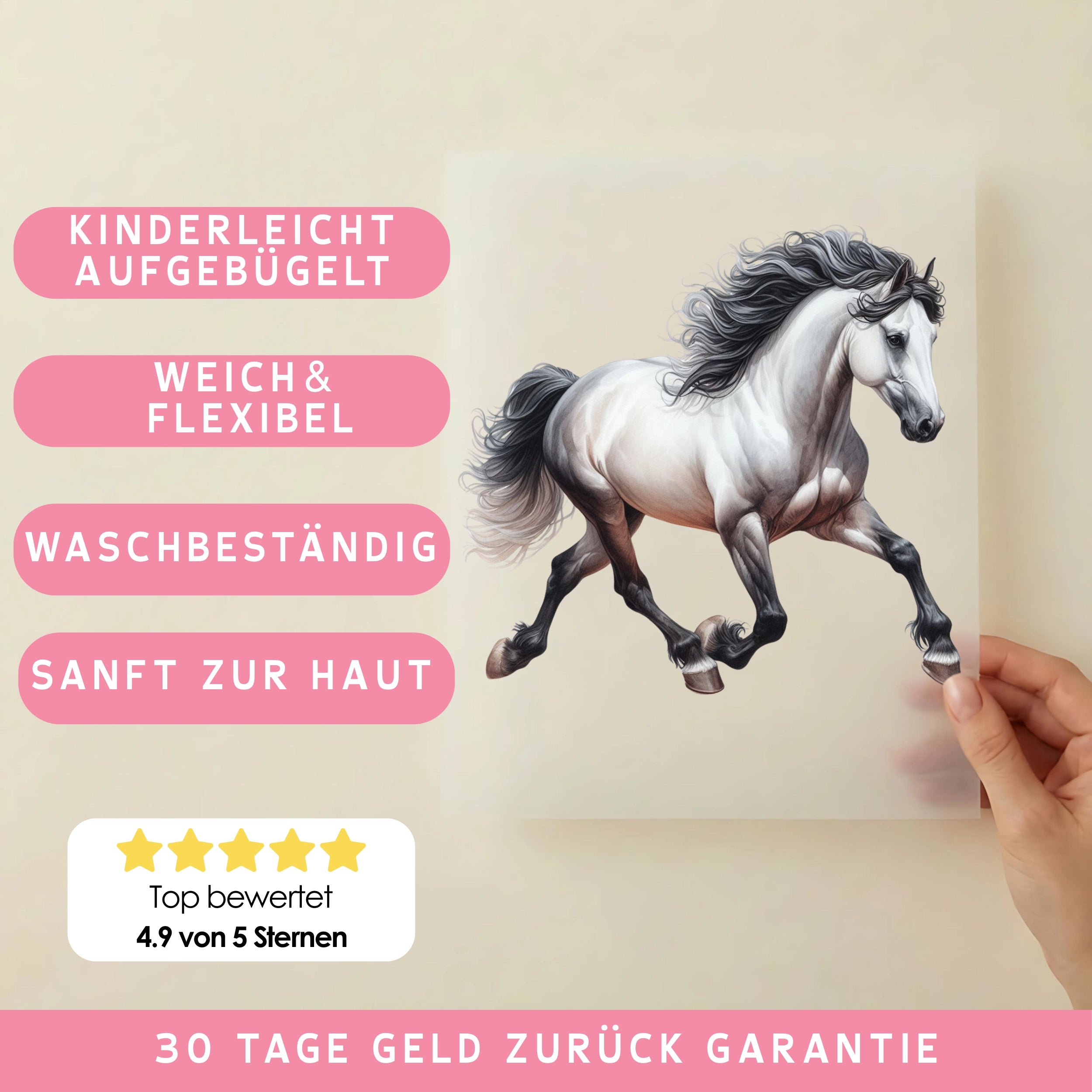 Bügelbild Pferd Andalusier