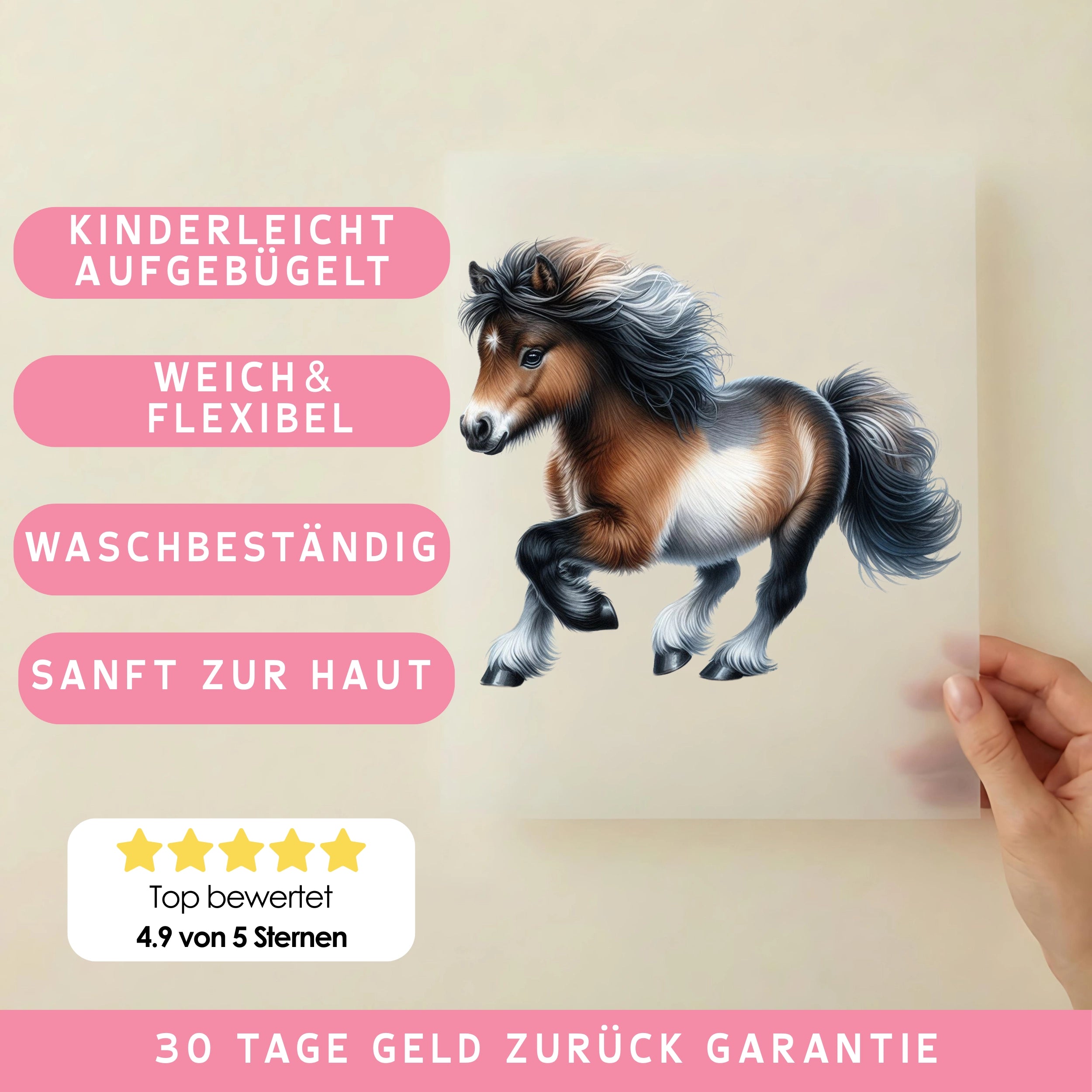 Bügelbild Shetland Pony