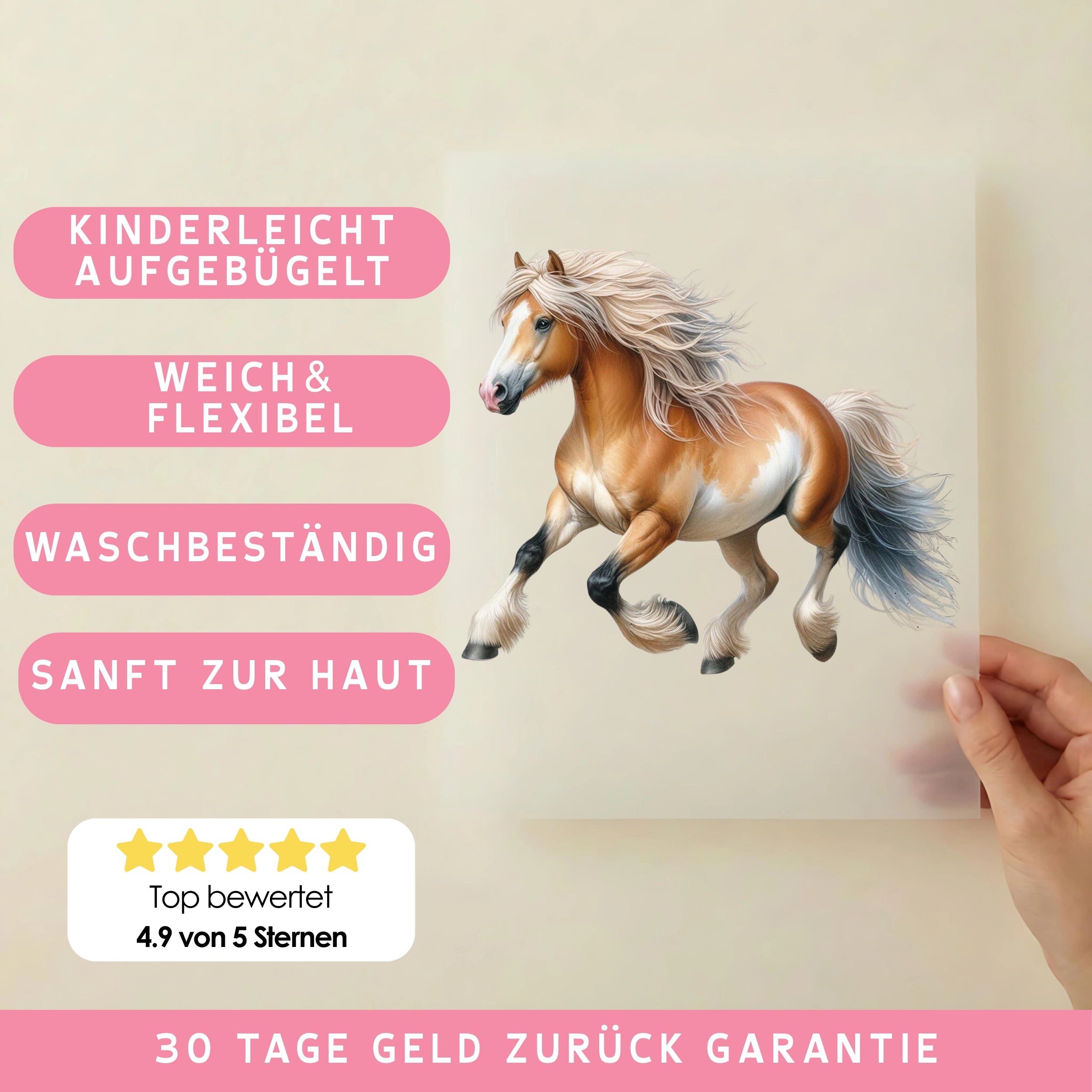Bügelbild Pferd Haflinger