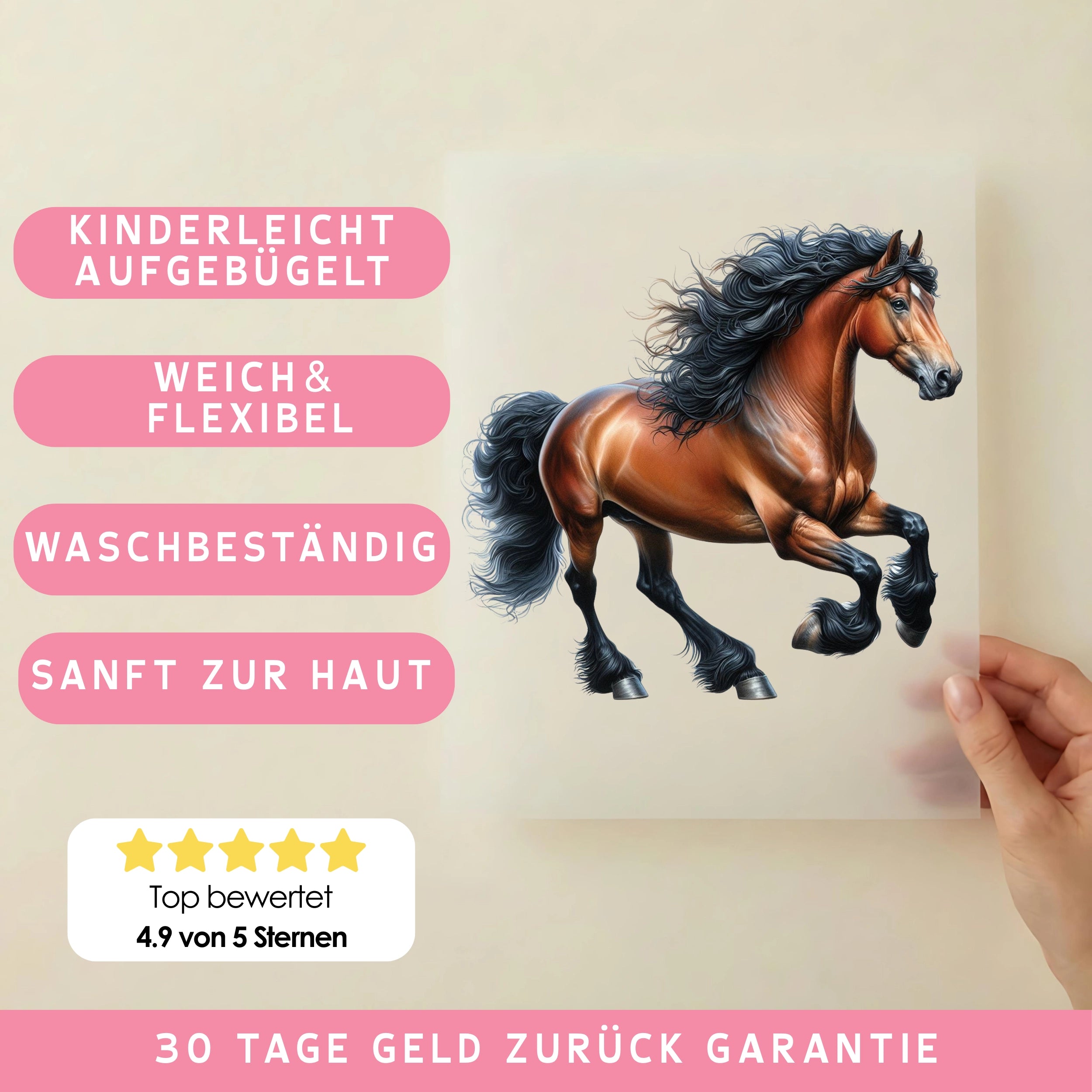 Bügelbild Pferd Hannoveraner Rocky