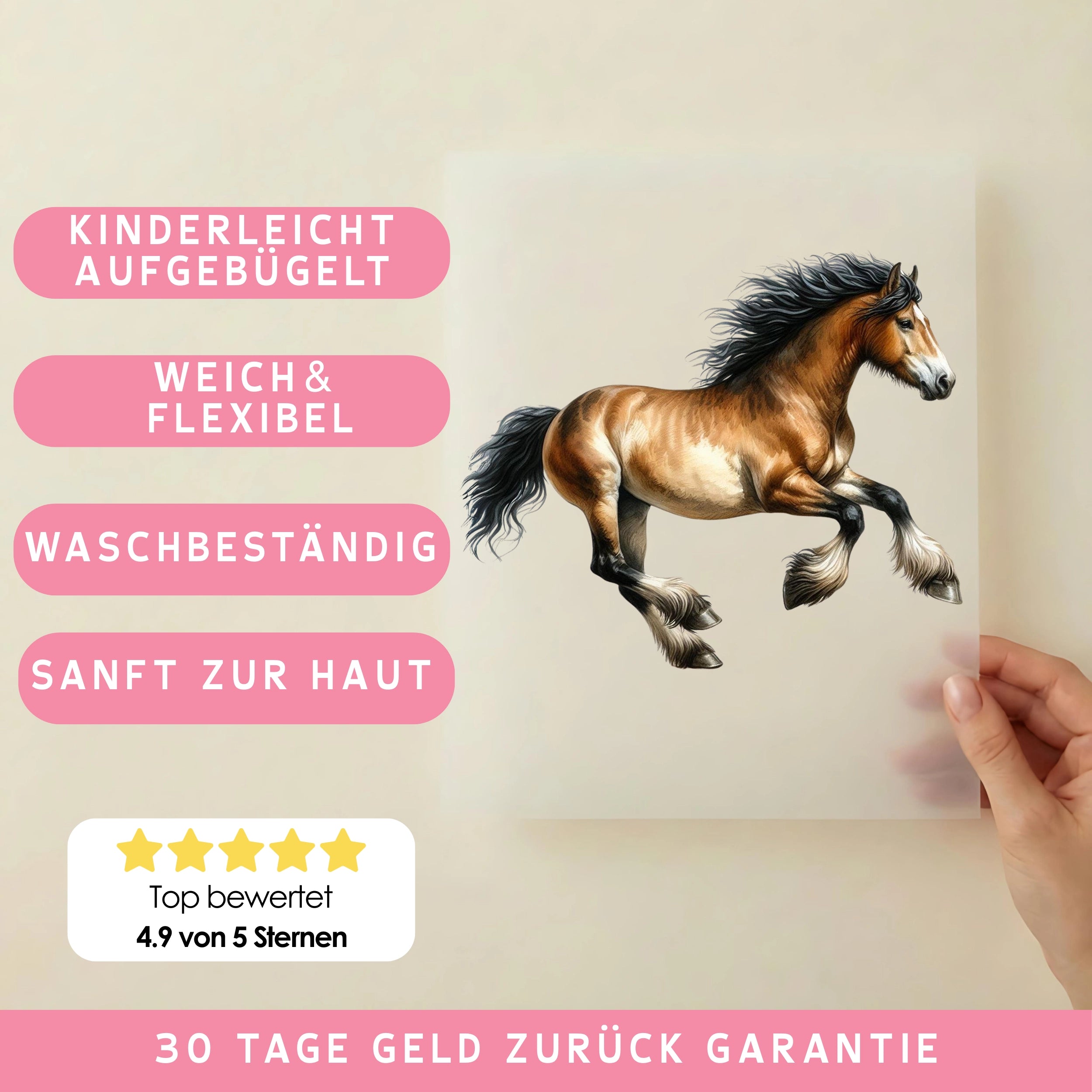 Bügelbild Pferd Lomud