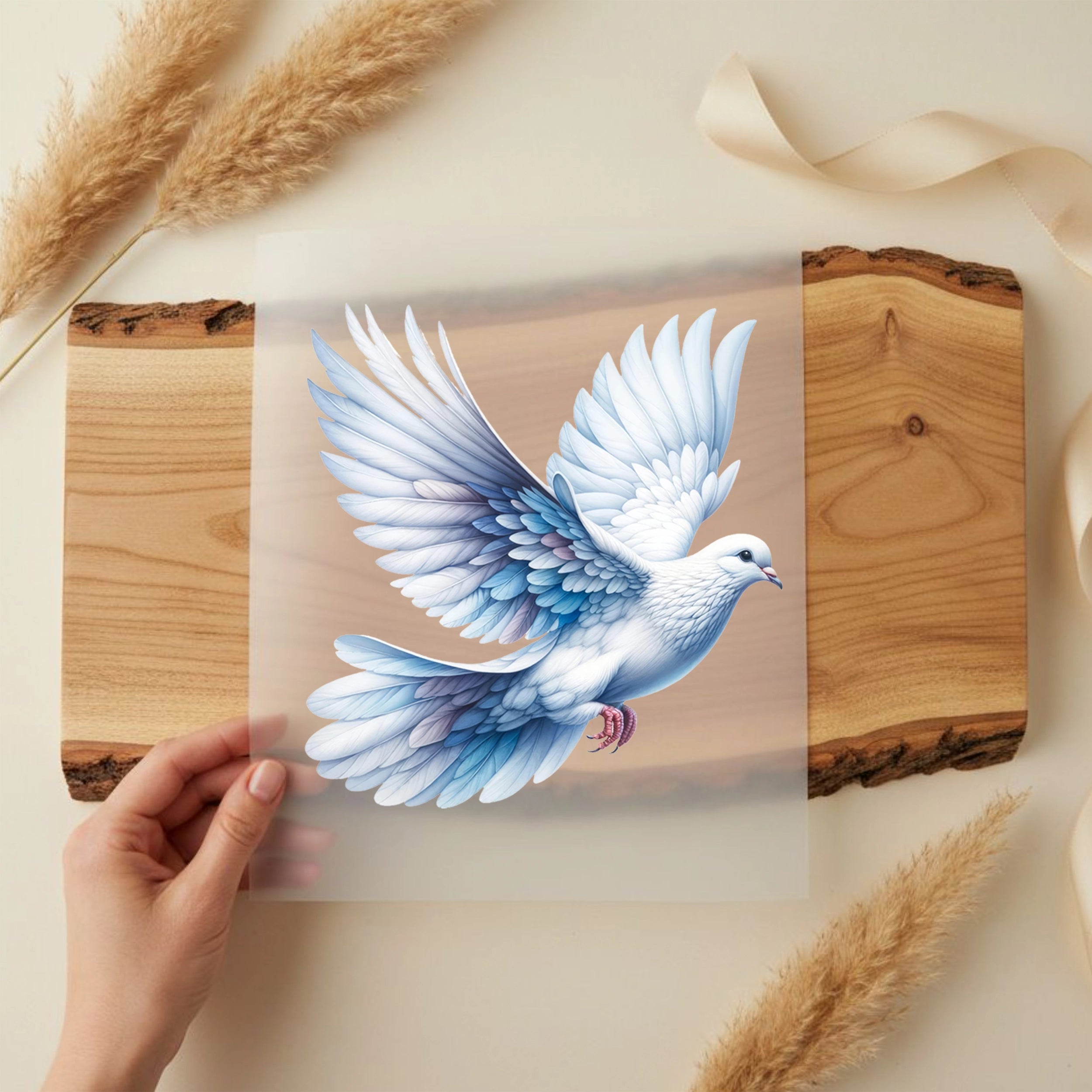 Bügelbild Taube Flügel des Friedens