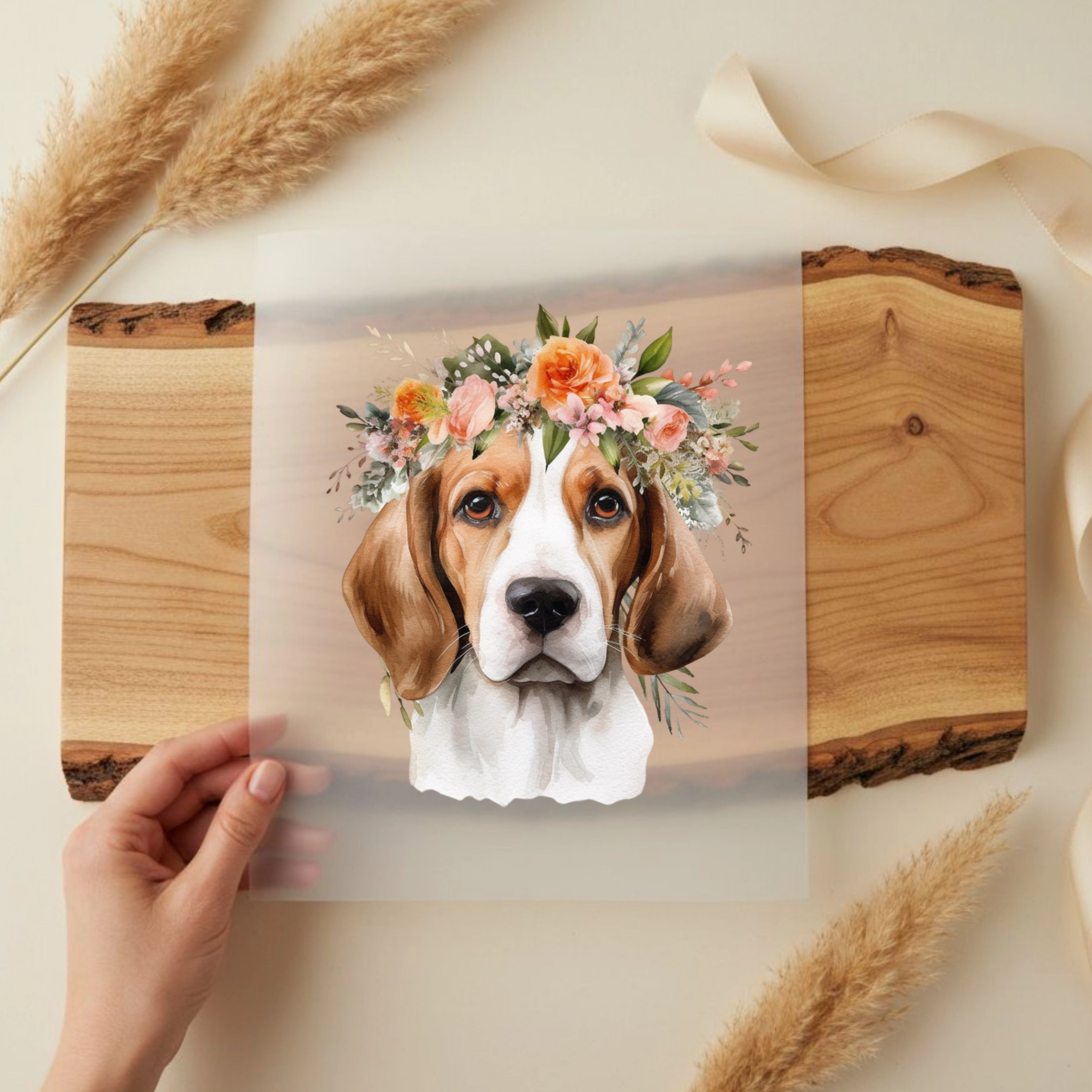 Bügelbild Hund Beagle