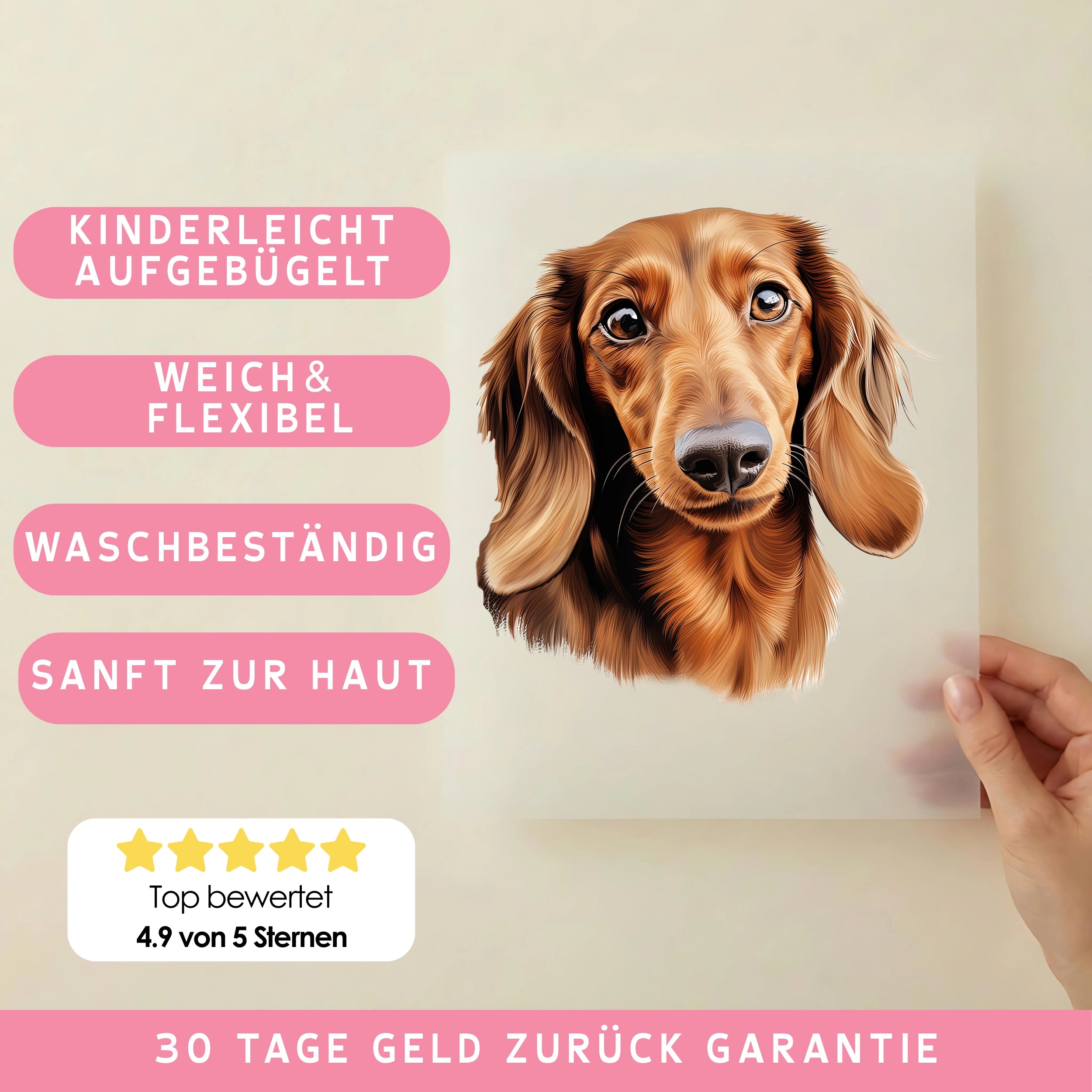 Bügelbild Hund Dackel Braun