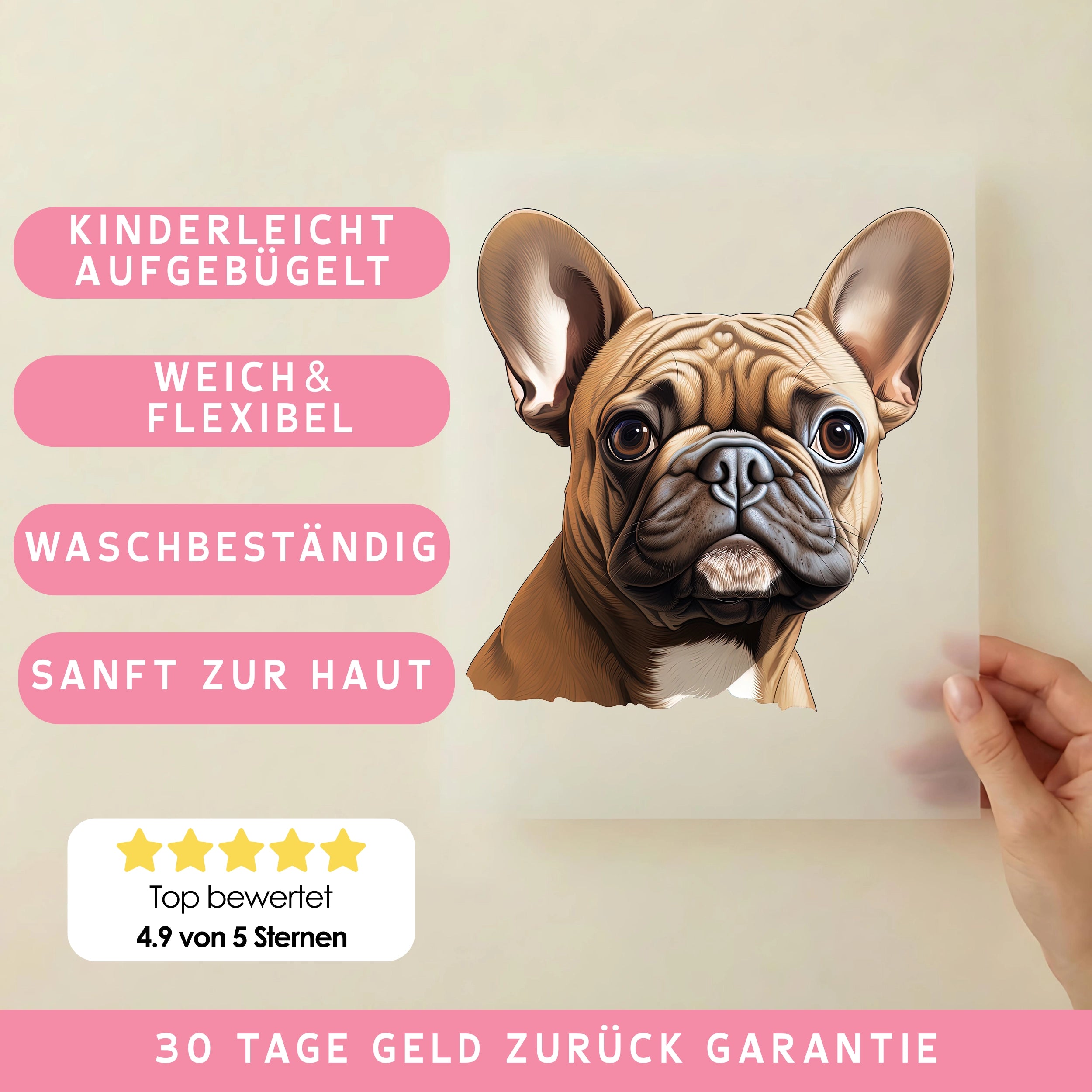 Bügelbild Hund Französische Bulldogge Braun Beige