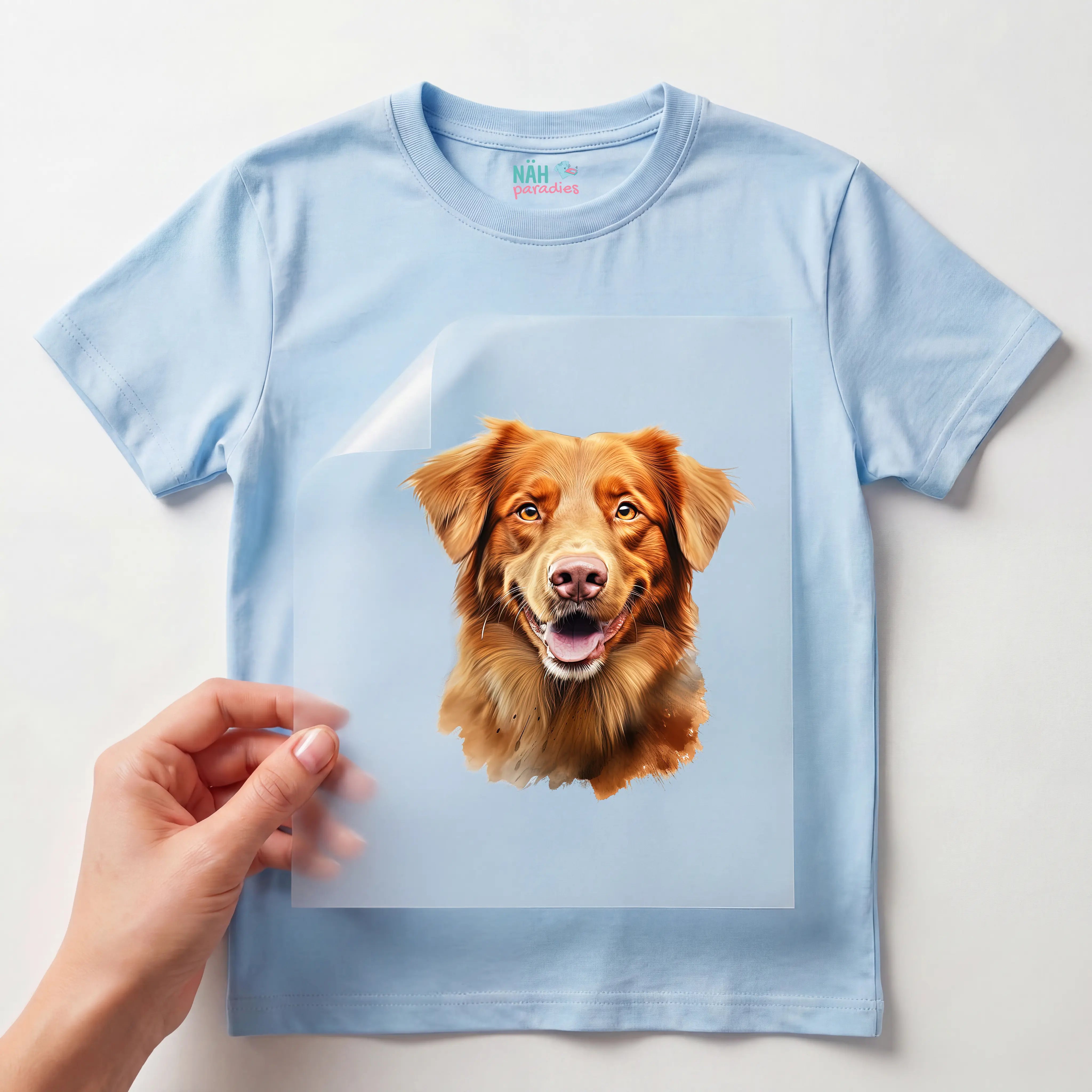 Bügelbild Hund Nova Scotia Duck Tolling Retriever