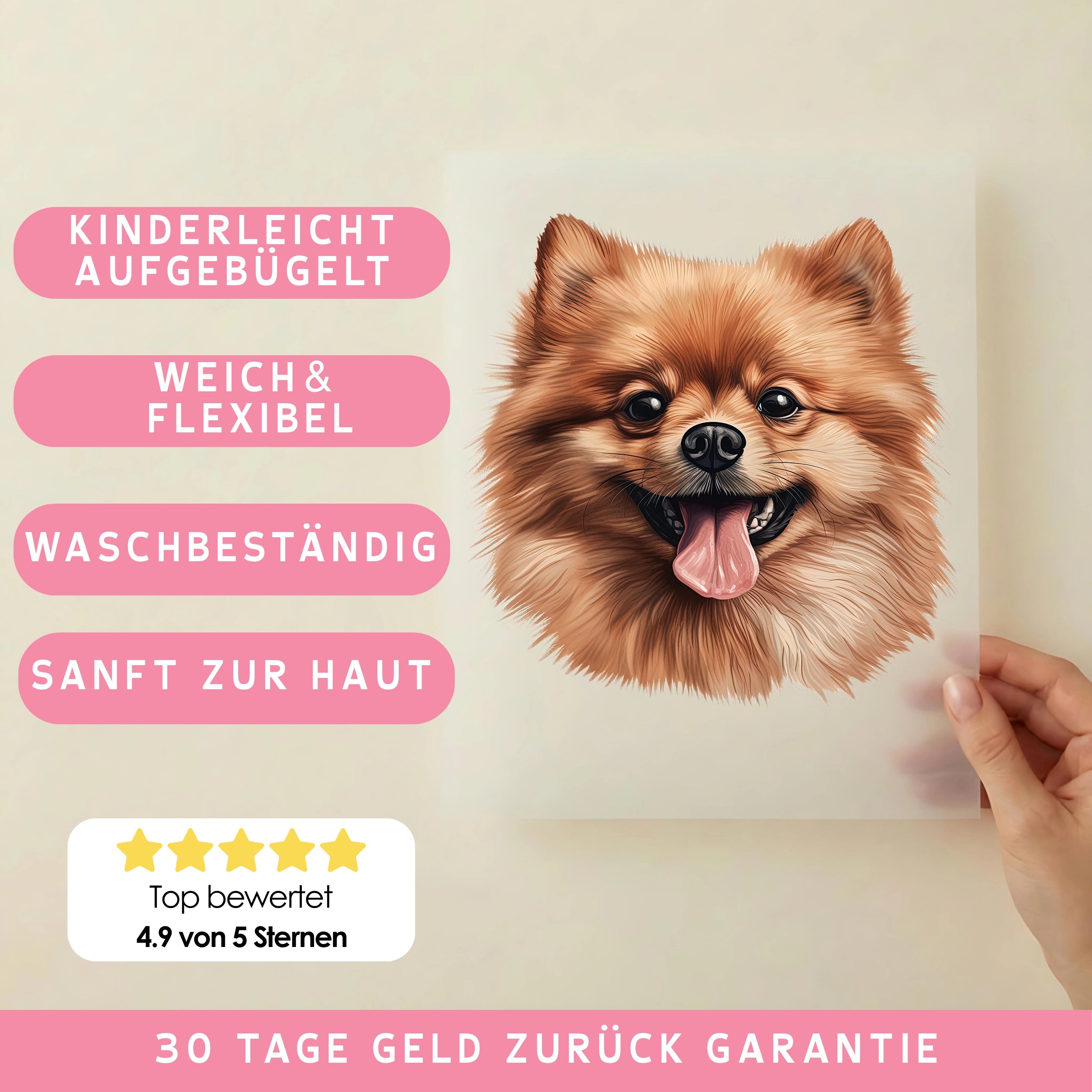 Bügelbild Hund Pomeranian Zwergspitz Braun