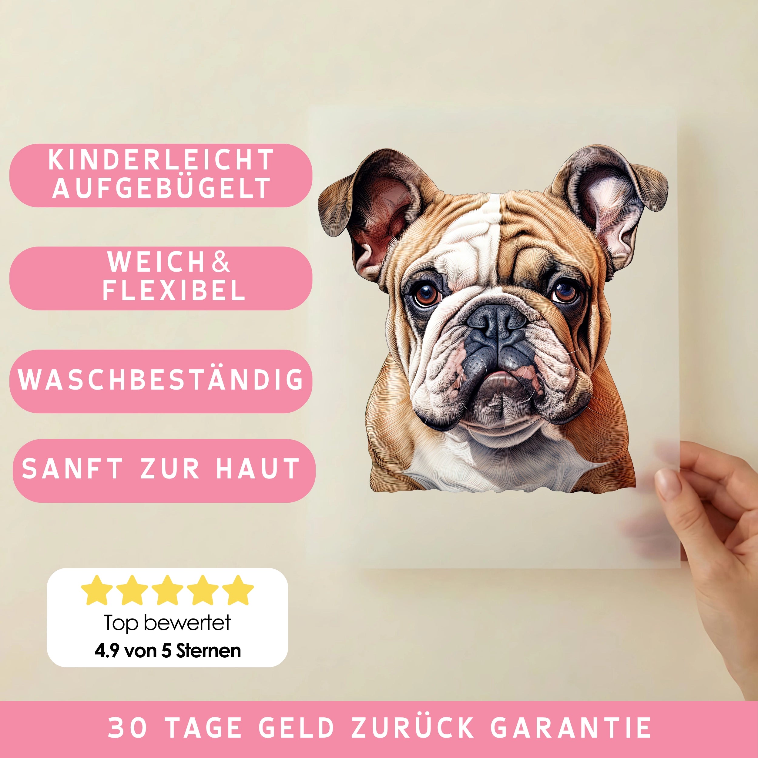 Bügelbild Hund Bulldogge Braun