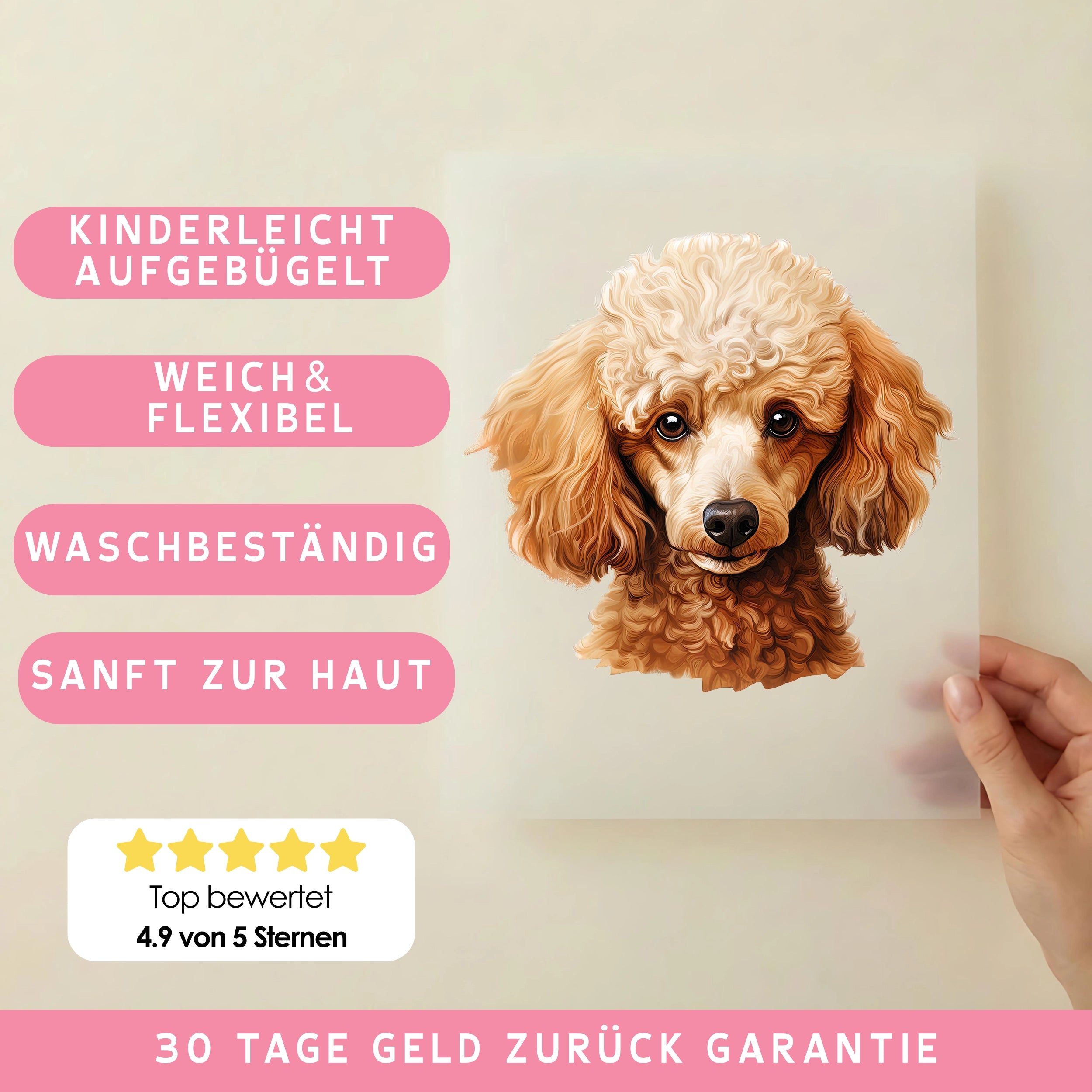 Bügelbild Hund Brauner Pudel