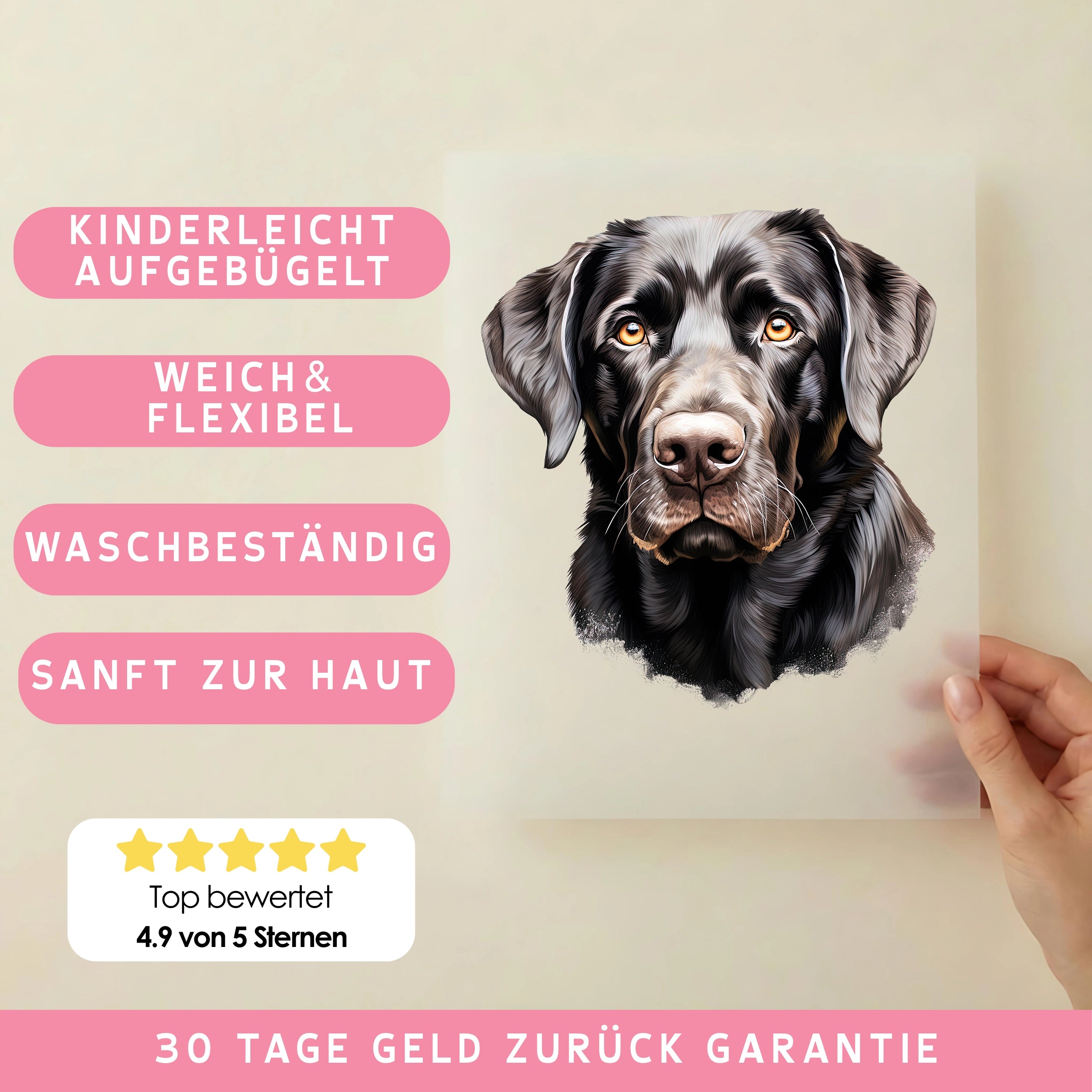 Bügelbild Hund Schwarzer Labrador