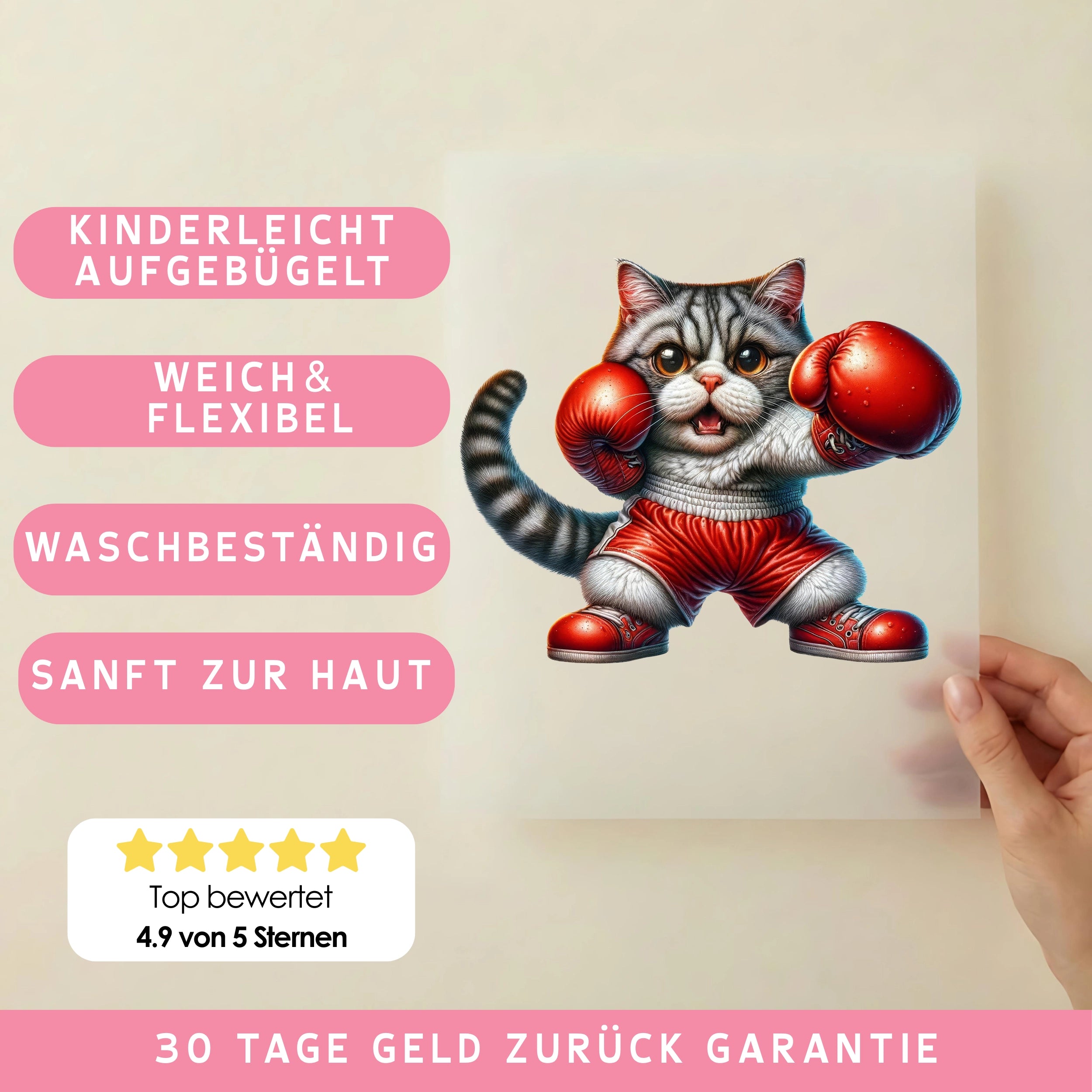 Bügelbild Katze Boxtalent