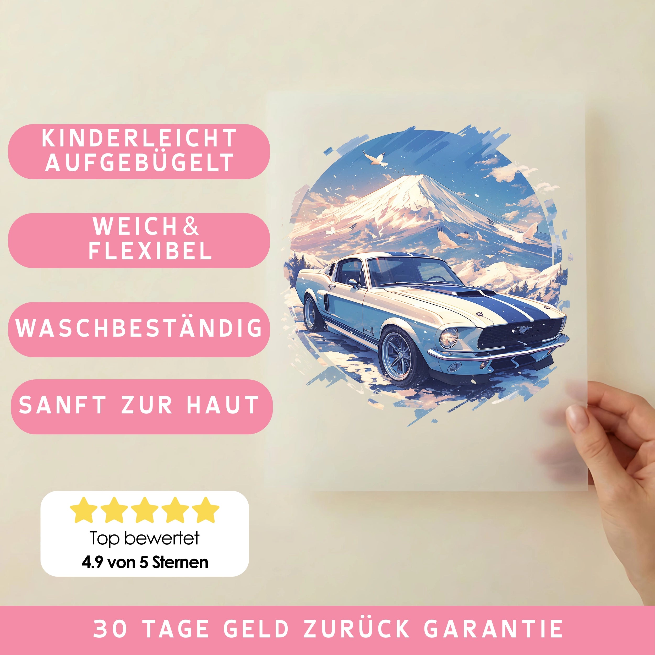 Bügelbild Auto Winterride