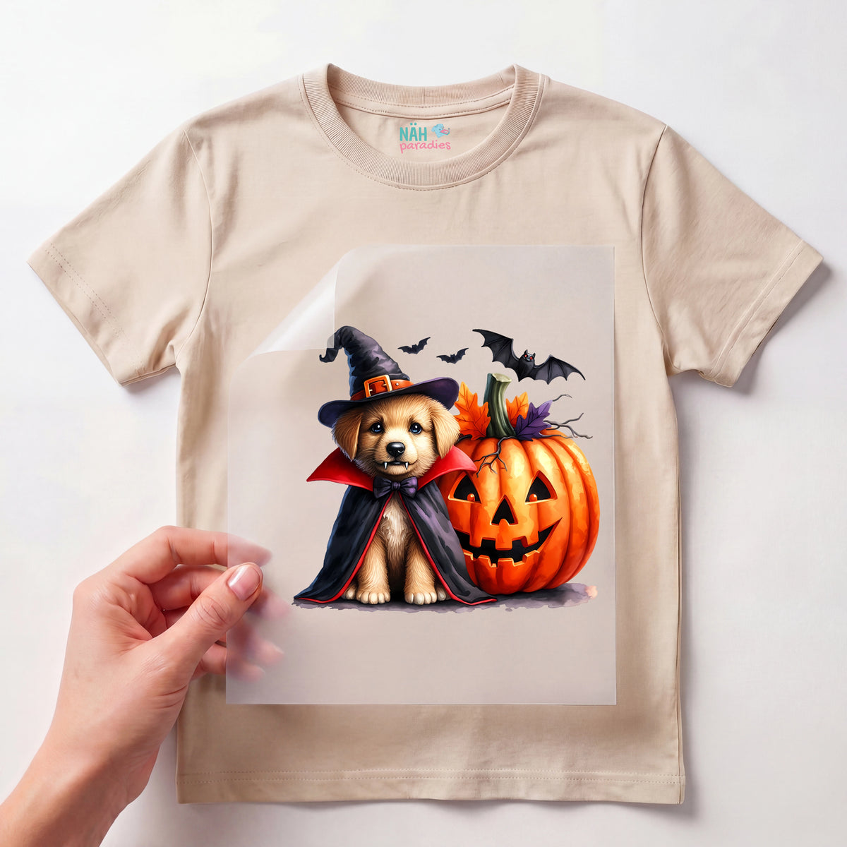 Bügelbild Halloween Vampir kleiner Hund