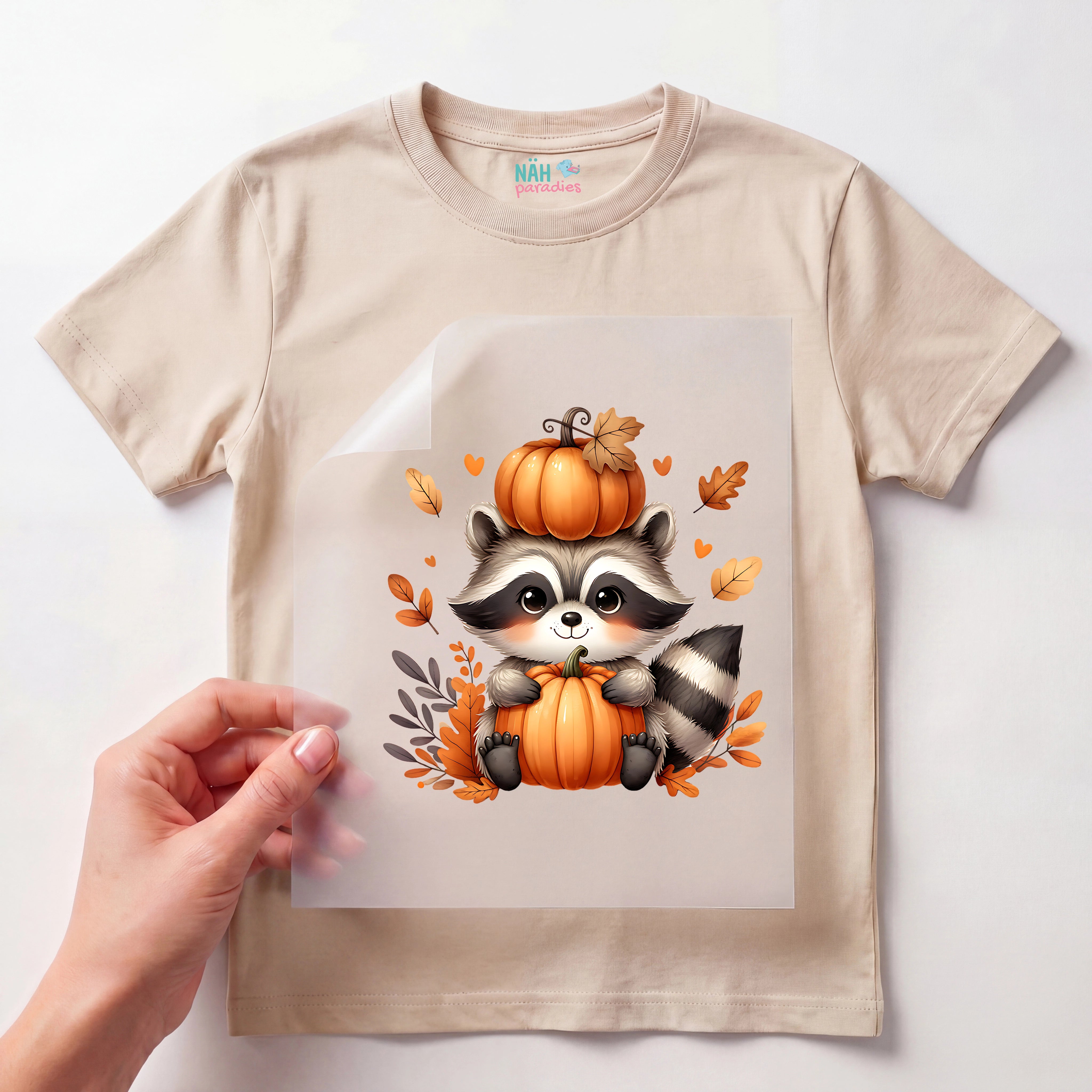Bügelbild Waschbär mit Kürbis