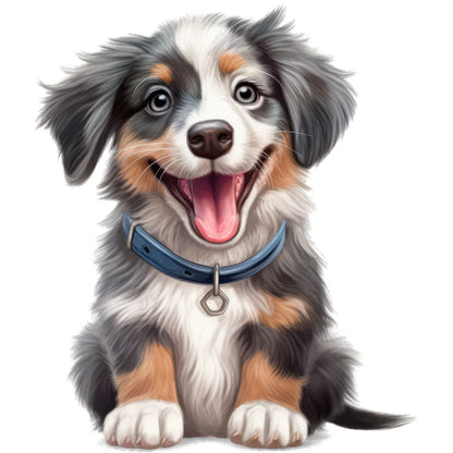 Bügelbild Hund Australian Shepherd