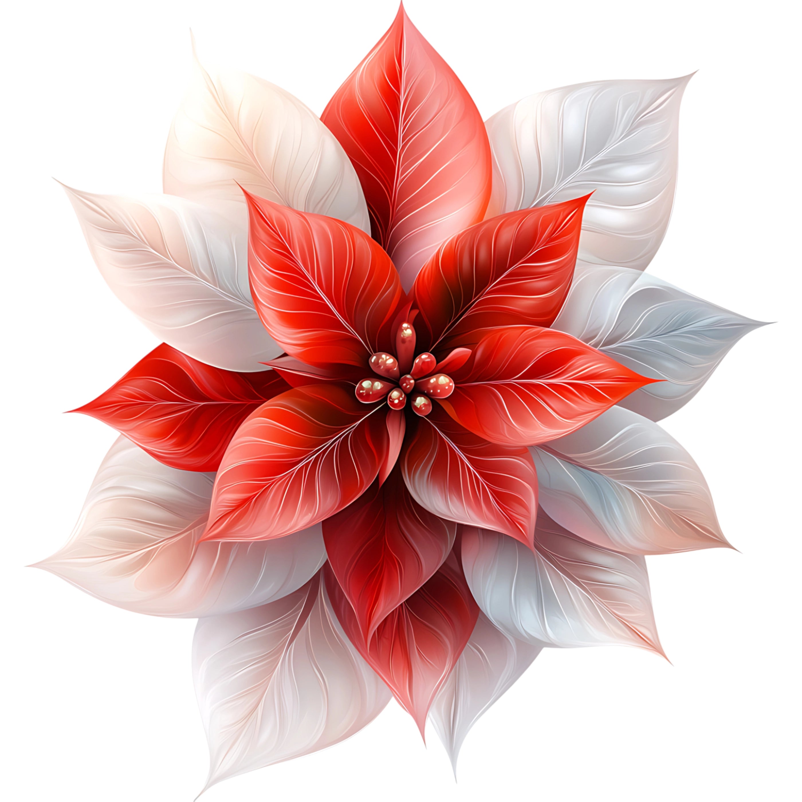 Bügelbild Rot Weisser Weihnachtsstern