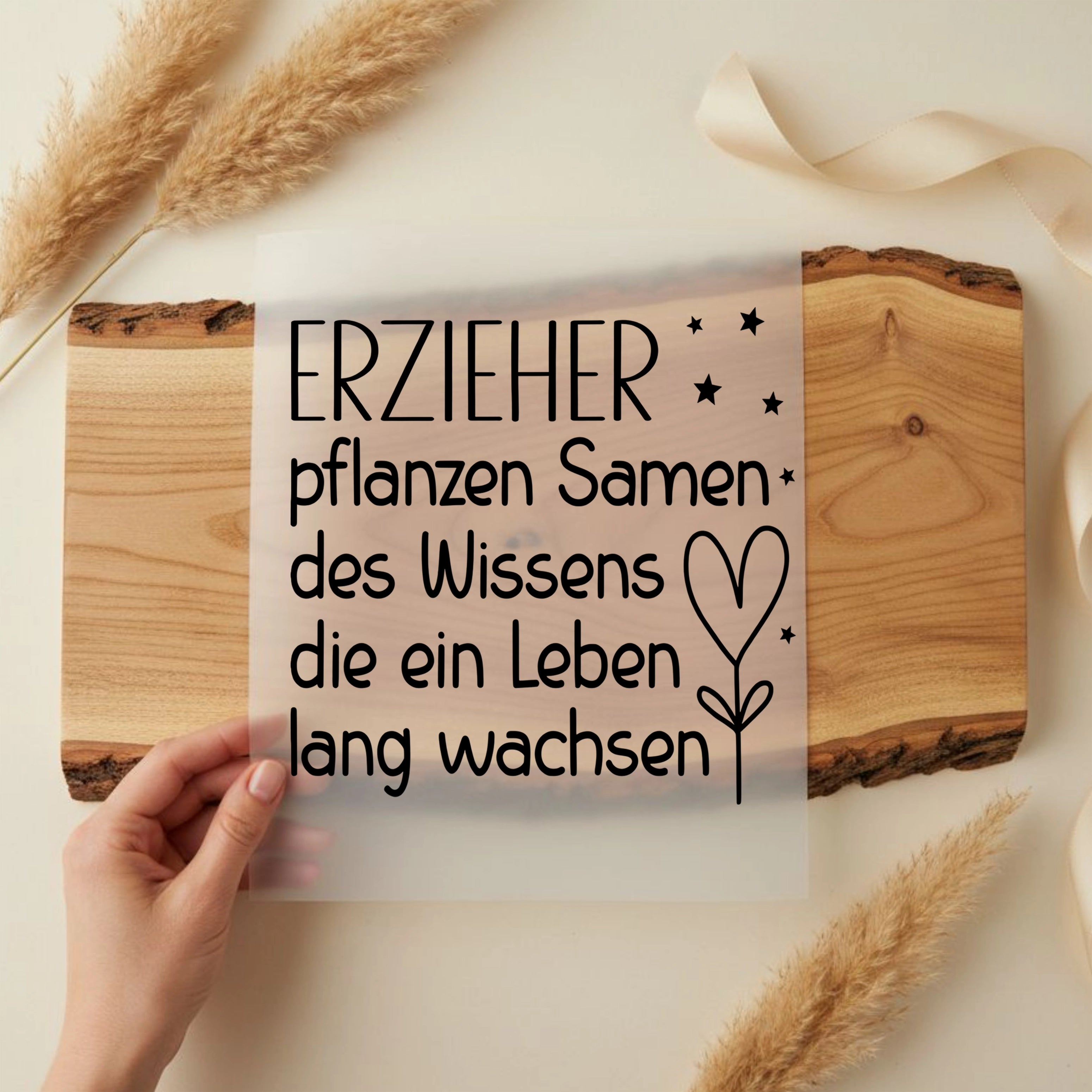 Bügelbild Erzieher pflanzen Samen