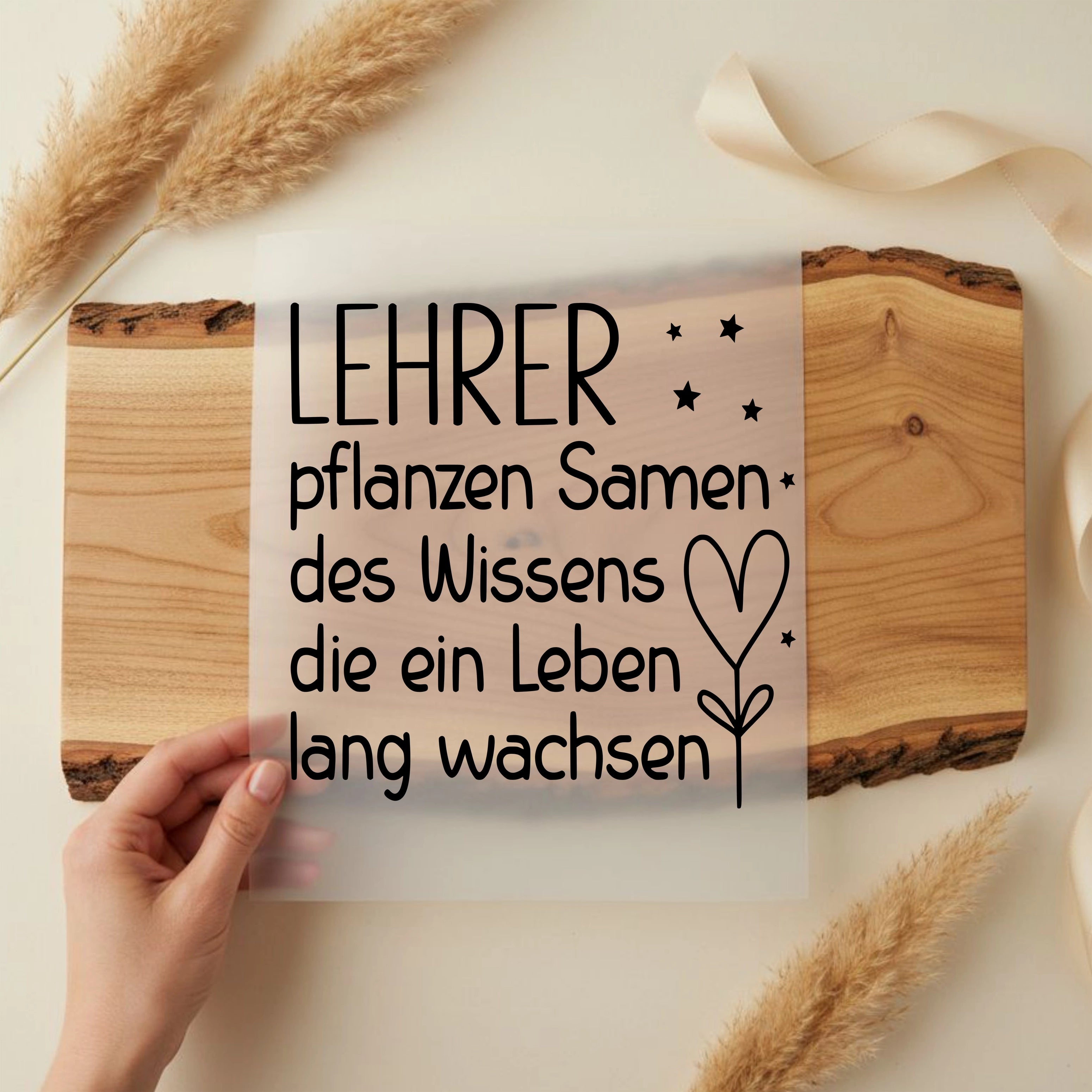 Bügelbild Lehrer pflanzen Samen